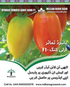 Agriculture Pakistan Seeds