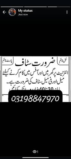 male and female staff required to office work