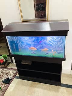 Aquarium For Sale 3 feet by 1 feet