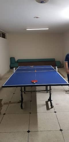 Table Tennis Table