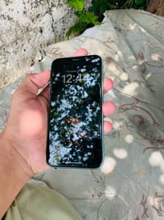 Iphone 11 ( Non Pta )