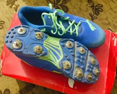 cricket spikes