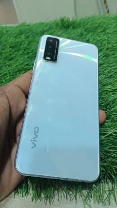 vivo