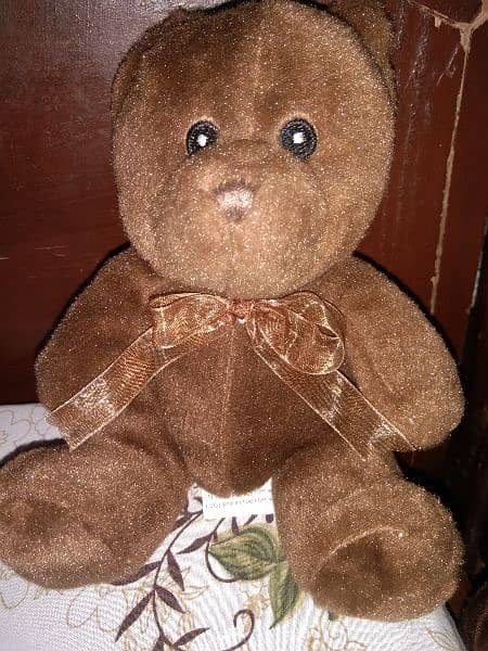 Brown small teddy bear (stuff toy) 0