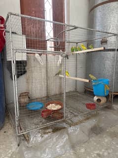 Spacious Bird Cage for Sale - 3.83ft Wide, 3.08ft High