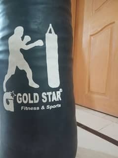 gold star punching bag