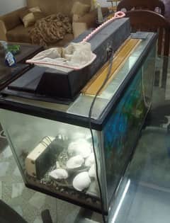 Fish Aquarium