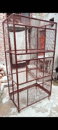 birds cage and hen cage