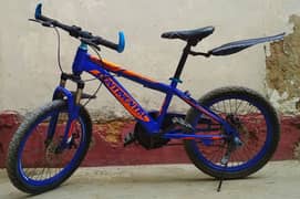 Bicycle For Sale