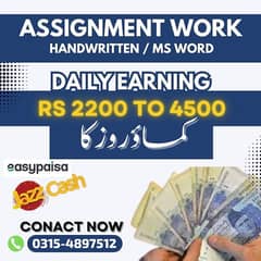 Online Job Assignment work Handwritten/Ms Word