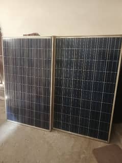 tesla solor 250 W plates  available for sale at very low price