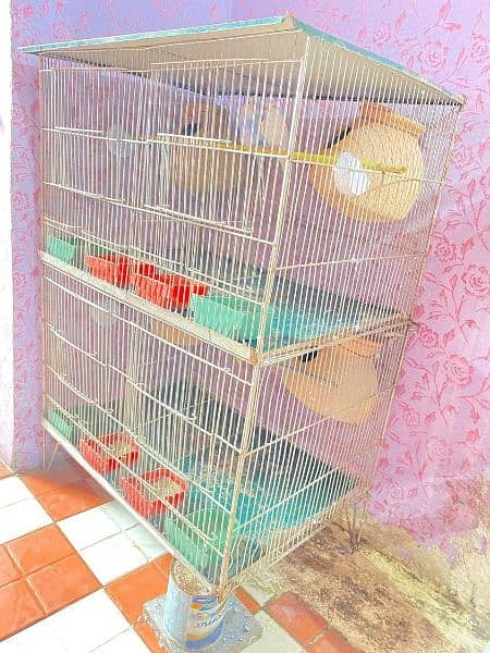 Cage and Budgies 5