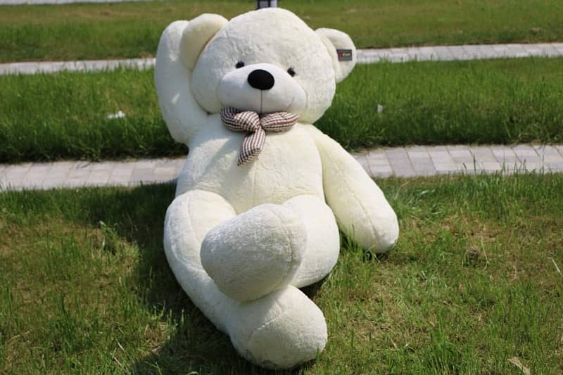 Teddy Bear Gifts/ Stuffed Toys available 3