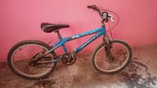 cycle for sale 10 to 12 year child