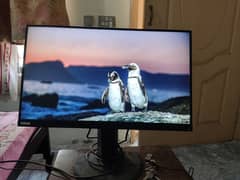 Lenovo 2K bazelles monitor 24 inches ultrawide