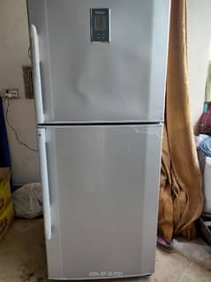 Haier family size fridge