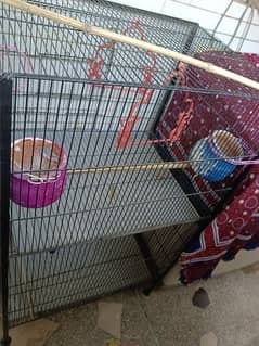 New Cage For Parrots Or Birds