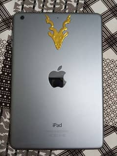 Apple iPad