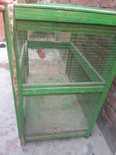 Hen Cage