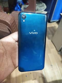 vivo