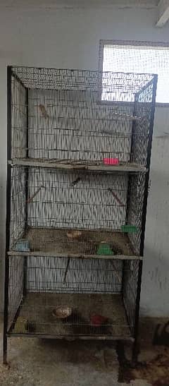 birds cage