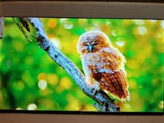 75" INCH SAMSUNG ANDROID LED TV 4K BORDER LESS VOICE CONTROL