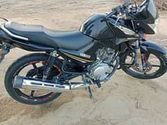 Yamaha ybr 125 Rawalpindi number new condition