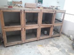 Cage ( large size ) excellent builded and condition 10 BY 10