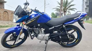 Yamaha YBR 125G 2019 excellent condition