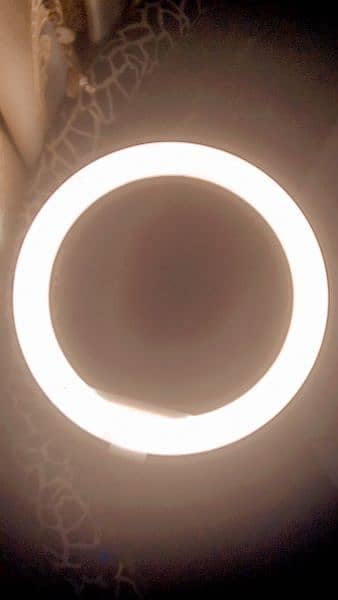 26 cm ring light 2