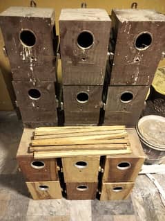 breeding box with sticks