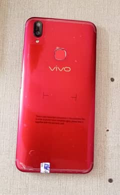 vivo