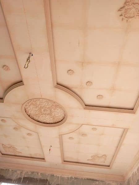 FALL ceiling disen 0