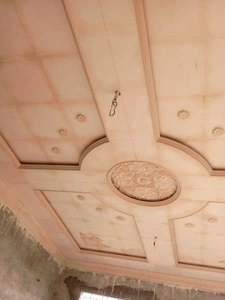 FALL ceiling disen 1