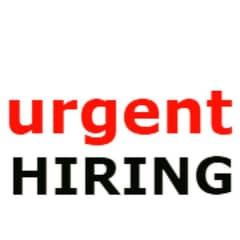 travel agency looking for fresh and experience candidates