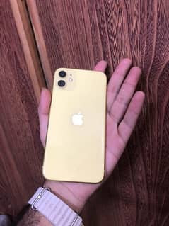 Iphone 11 Dual (PTA Approved)