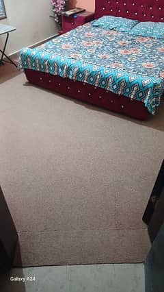 Carpet 12 x 12 Foot Brown