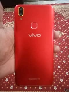 vivo