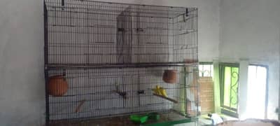 Birds cages For Sale