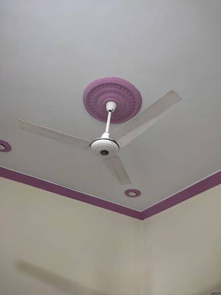 Ceiling Fan 2