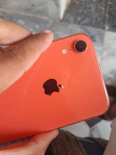 IPhone XR Non pta JV