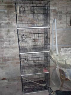 4 paration cage hai . . . 0314 2128871