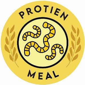 Protein