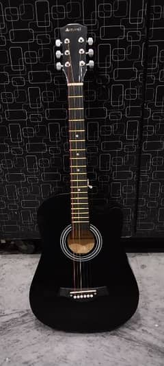 Affordable guitar with accessories (bag and picks)