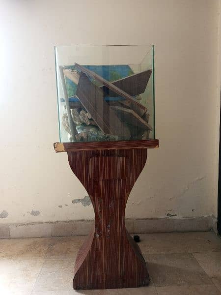 Fish aquarium with accessories price fnf 03472824248 0