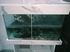 Urgent sale Aquarium