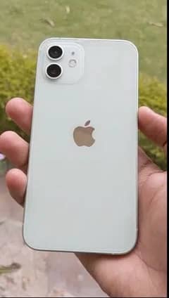 iPhone 12 256 gb pta approved