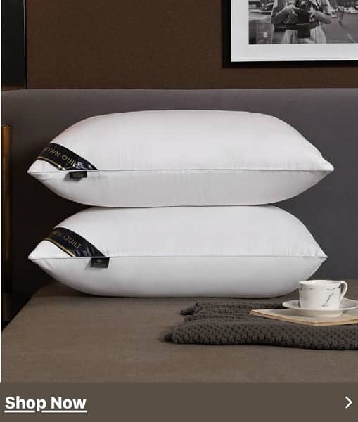 Sumbal Pillow 1