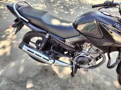 Yamaha Ybr 125 2022 model