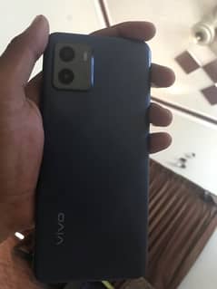 vivo